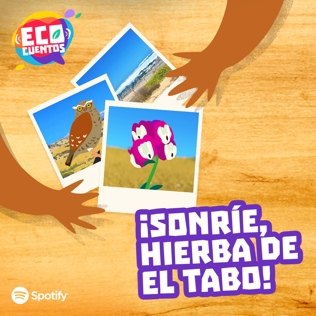 Ecocuentos en Spotify