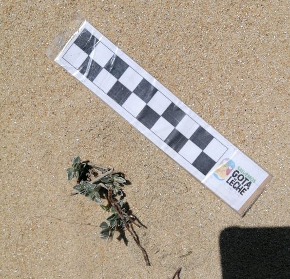 Investigación y divulgación científica